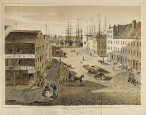 Placeholder Image 2