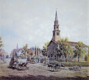 Placeholder Image 8